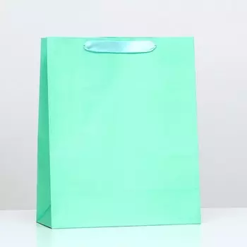 Пакет ламинированный «Бирюзовый», 263212 см