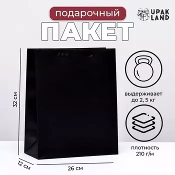 Пакет ламинированный «Черный», M 26 32 12 см