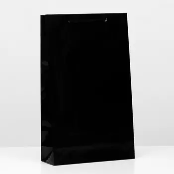 Пакет ламинированный, чёрный, 40,5 х 24,8 х 9 см