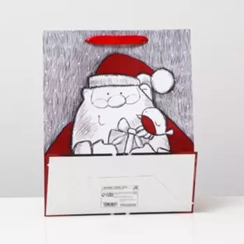 Пакет ламинированный "Дед мороз", 26 x 32 x 12 см