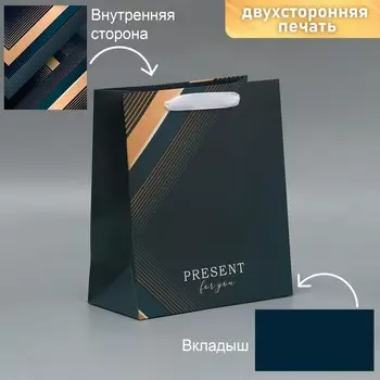 Пакет подарочный ламинированный двухсторонний, упаковка, Present for you, ML 23 х 27 х 11,5 см