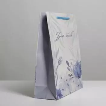 Пакет подарочный ламинированный, упаковка, «For you», ML 25 х 21 х 8 см