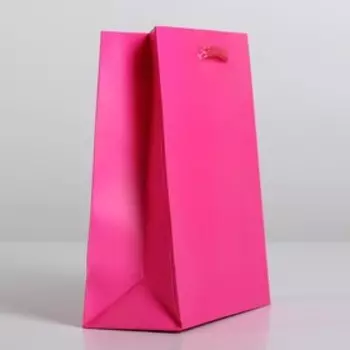 Пакет подарочный ламинированный, упаковка, «Фуксия», S 12 х 15 х 5.5 см