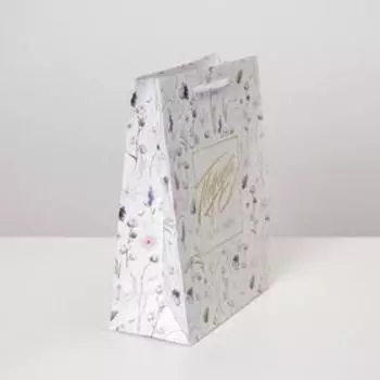 Пакет подарочный ламинированный, упаковка, «Gift for you», MS 18 х 23 х 8 см