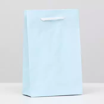 Пакет ламинированный, голубой, 17,5 х 11,5 х 5 см