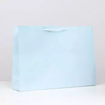 Пакет ламинированный, голубой, 38 х 53,5 х 13 см