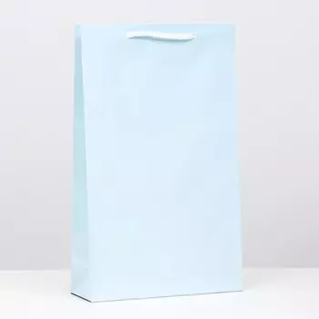 Пакет ламинированный, голубой, 40,5 х 24,8 х 9 см