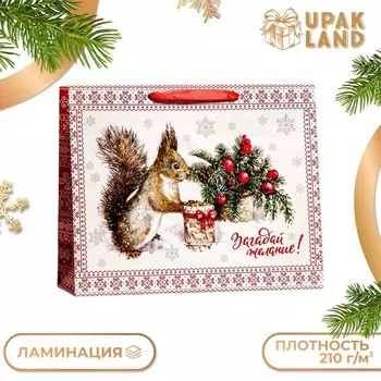 Пакет ламинированный горизонтальный "Белочка!",49 х 40 х 19 см.