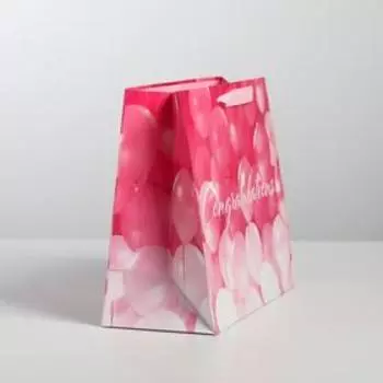 Пакет подарочный ламинированный горизонтальный, упаковка, Congratulations!, ML 27 х 23 х 11,5 см