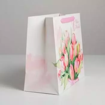 Пакет ламинированный горизонтальный «Цветочная нежность», ML 23 27 11,5 см