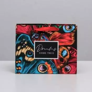 Пакет подарочный ламинированный горизонтальный, упаковка, «Dreams come true», MS 23 х 18 х 10 см