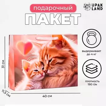 Пакет ламинированный горизонтальный «Котики», 403111.5 см