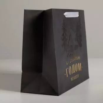 Пакет ламинированный горизонтальный «Лесная опушка», ML 27 × 23 × 11,5 см