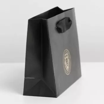 Пакет ламинированный горизонтальный «Лев», S 12 × 15 × 5,5 см