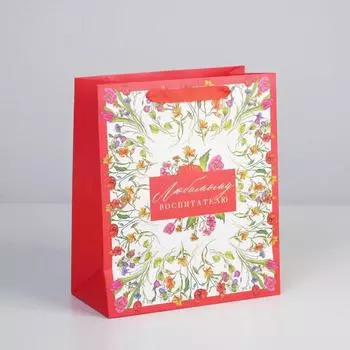 Пакет подарочный ламинированный, упаковка, «Любимому воспитателю», ML 27 х 23 х 11.5 см