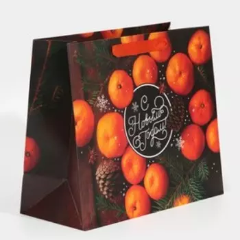 Пакет ламинированный горизонтальный «Мандаринки», ML 27 23 11,5 см