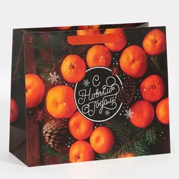 Пакет ламинированный горизонтальный «Мандаринки», ML 27 23 11,5 см