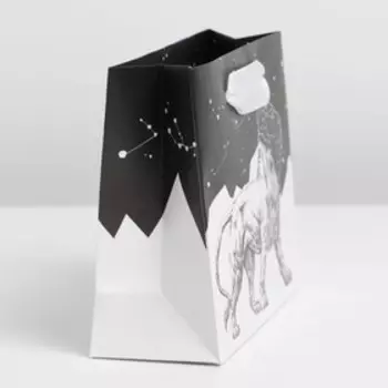 Пакет подарочный ламинированный горизонтальный, упаковка, «Номер 1», S 12 х 15 х 5,5 см