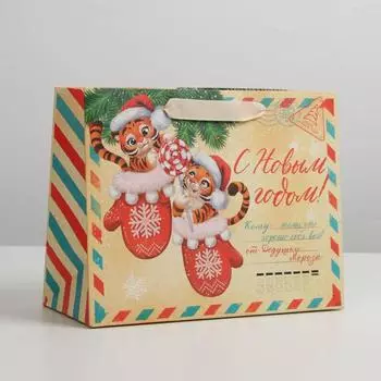 Пакет ламинированный горизонтальный «Новогодняя почта», MS 23 × 18 × 10 см