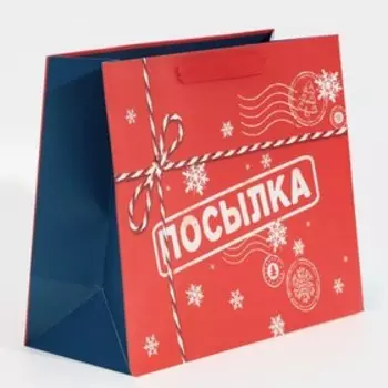 Пакет ламинированный горизонтальный «Посылка для тебя», MS 18 23 10 см