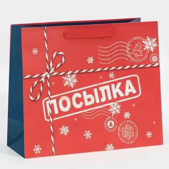 Пакет ламинированный горизонтальный «Посылка для тебя», MS 18 23 10 см