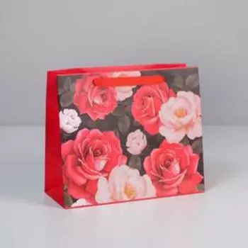 Пакет ламинированный горизонтальный «Поздравляю», ML 27 × 23 × 8 см