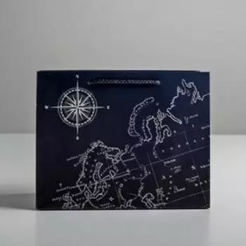 Пакет подарочный ламинированный горизонтальный, упаковка, «Путеводитель», ML 27 х 23 х 11,5 см