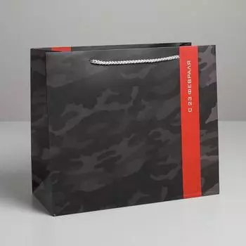 Пакет подарочный ламинированный, упаковка, «С 23 февраля», ML 27 х 23 х 11.5 см