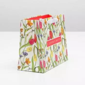 Пакет подарочный ламинированный горизонтальный, упаковка, «С Днем 8 Марта», MS 23 х 18 х 10 см