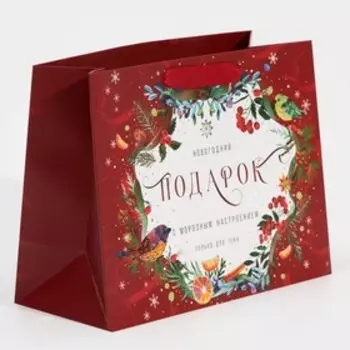 Пакет ламинированный горизонтальный «С морозным настроением», MS 18 23 10 см