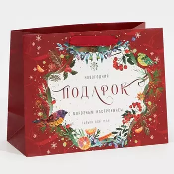 Пакет ламинированный горизонтальный «С морозным настроением», MS 18 23 10 см