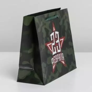 Пакет ламинированный горизонтальный «С праздником!», MS 23 × 18 × 8 см