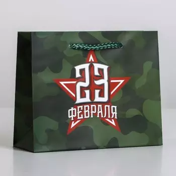 Пакет подарочный ламинированный горизонтальный, упаковка, «С 23 февраля», S 15 х 12 х 5.5 см