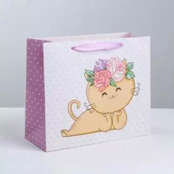 Пакет ламинированный горизонтальный «Самой милой», MS 23 × 18 × 10 см