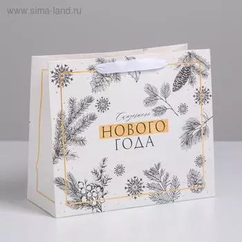 Пакет ламинированный горизонтальный «Счастливого Нового года», ML 27 × 23 × 11,5 см