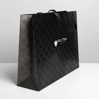 Пакет ламинированный горизонтальный Top 100, L 40 31 11,5 см