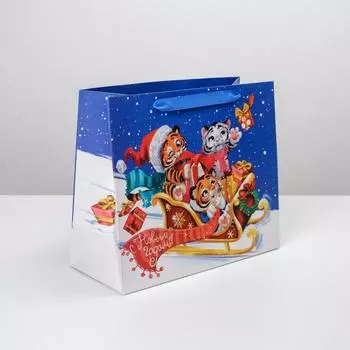 Пакет ламинированный горизонтальный «Весёлые тигрята», ML 27 × 23 × 11.5 см