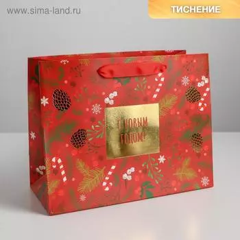 Пакет ламинированный горизонтальный «Время волшебства», MS 23 18 10 см