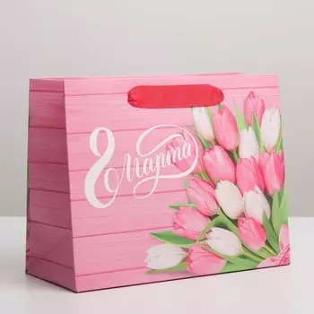 Пакет подарочный ламинированный, упаковка, «8 марта», MS 23 х 18 х 10 см