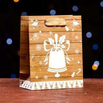 Пакет ламинированный «Колокол» 11.514.56 см