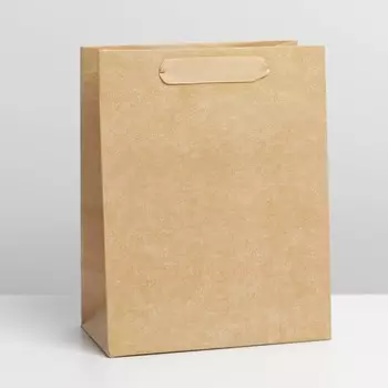 Пакет подарочный ламинированный, упаковка, «Крафтовый», ML 23 х 27 х 11.5 см