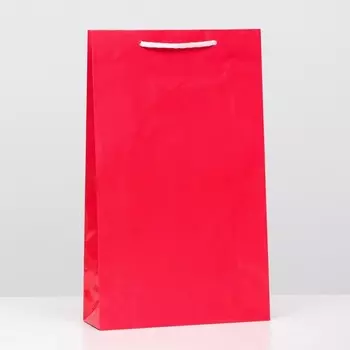 Пакет ламинированный, красный, 40,5 х 24,8 х 9 см