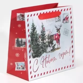 Пакет ламинированный квадратный «Новогодняя почта», 22 × 22 × 11 см