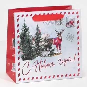 Пакет ламинированный квадратный «Новогодняя почта», 22 × 22 × 11 см