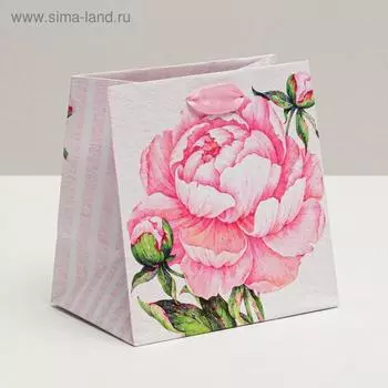 Пакет ламинированный квадратный «Счастье ждёт тебя», 14 × 14 × 9 см