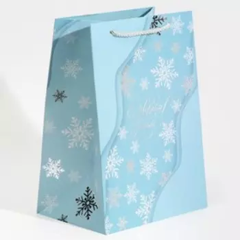 Пакет подарочный новогодний ламинированный «Лёд», 21 х 30 х 15 см