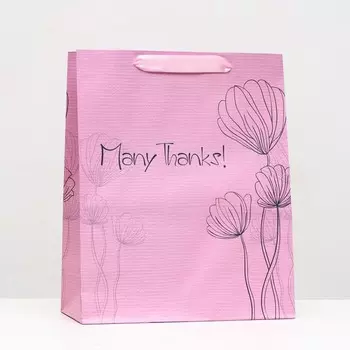 Пакет ламинированный вертильканый Many thanks, 263212 см