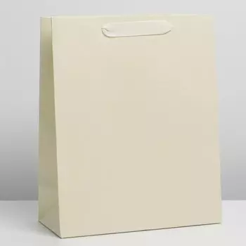Пакет подарочный ламинированный, упаковка, «Молочный», L 31 х 40 х 11.5 см