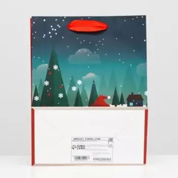 Пакет ламинированный "Мультяшный дед мороз" 18 х 23 х 10