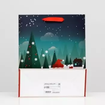 Пакет ламинированный "Мультяшный дед мороз" 26 x 32 x 12